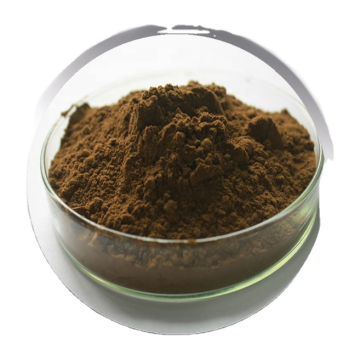 Coleus Forskohlii P.E. powder/Herbal extract Forskolin