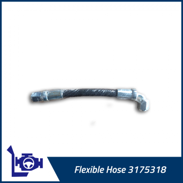 3175318 4VBE34RW3 ống linh hoạt