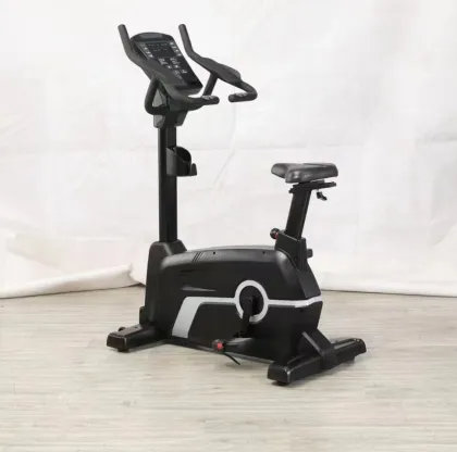 Commercial Magnetic Exercise Bikes: Recumbent and Upright Fitness Bikes for Gym Equipment