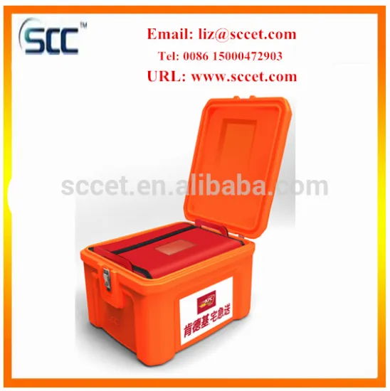 60L Plastic Hot Box For Transport Food (pizzas, hot food) to place on a scooter