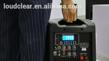 8inch full range easy carry with microphone speakers