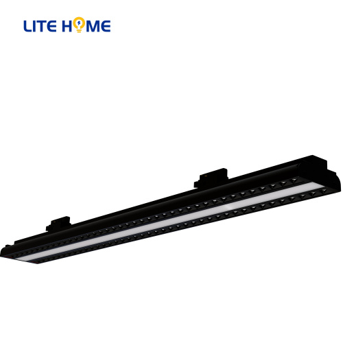 LUMENS LUMIÈRE DE TUBE TWIN ENTÉRIEUR LIGHT