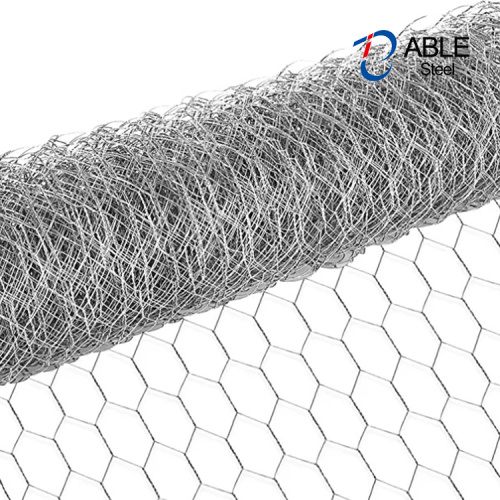 Clôture de filet en mailles de fil de fil de volaille hexagonale