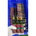 Randm Tornado 10000 Plus Puffs Pod Wholesale