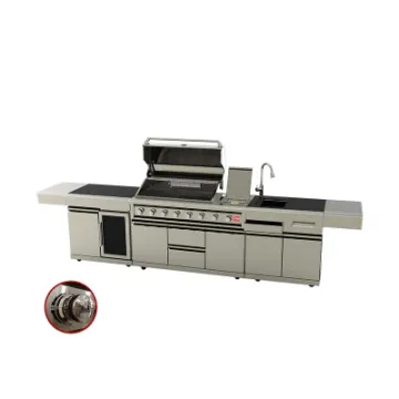 Outdoor Kitchen Stainless Steel Gas BBQ Grill Cabinet