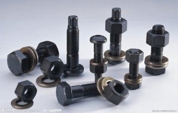 High Quality Screw and Screw Cap (ZW850)