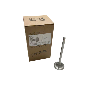 High-Quality ISG Engine Parts - 3697413 Intake Valve