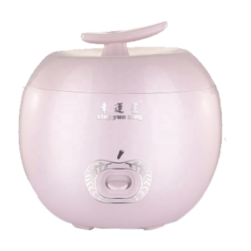 2022 New Anti-Spill Non-Stick Mini Rice Cooker & Slow Cooker - 2L Portable Deluxe Rice Cooker