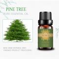 High Quality Private Label Pine Tree Essential Oil