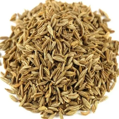 Wholesale Supplier of Premium Quality Dried Cumin Seeds and Whole Dry Cumin