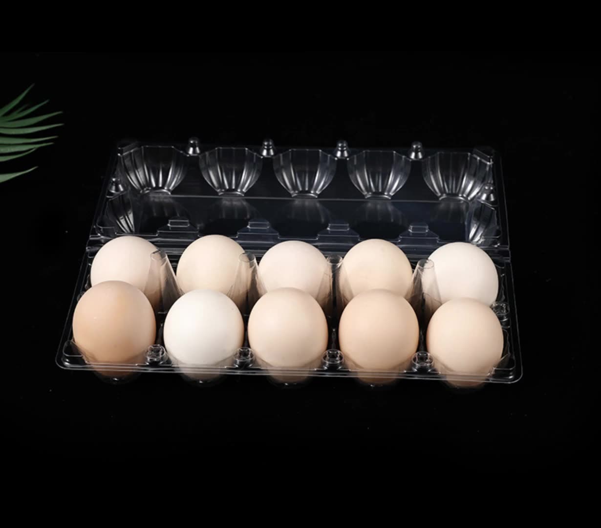 6 Holes Egg Box Blister Plastic Egg Tray