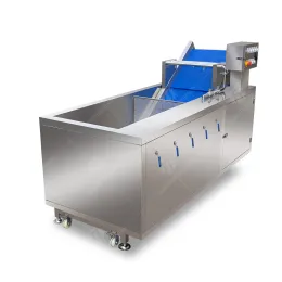 Air Bubble industrial vegetable washer