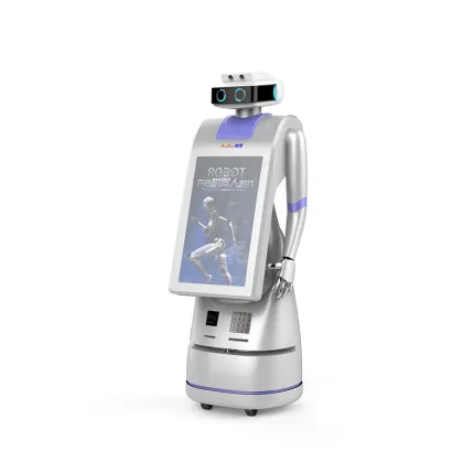 Intelligent Interactive Robot for Bank and Shopping Mall Consulting