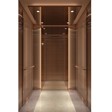 Luxury Professional Indoor Hotel Elevator Lift for Hotel Build