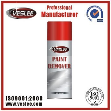Paint Reomver