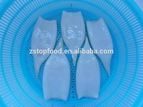 frozen seafood high quality frozen squid tubes