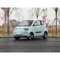 Chinese New smart model EV and multicolor small electric car