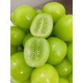 عنب مسقط شاين بدون بذور