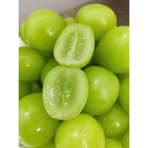 عنب مسقط شاين بدون بذور