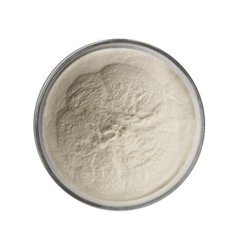 China Natural Coix Seed Powder for Food & Beverage Supplier