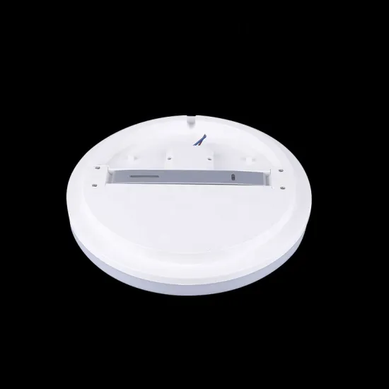 Elegant Modern Round Aluminum Ceiling Light Fixture, 100LM Brightness