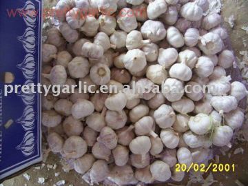 China Fresh garlic