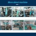 Automatic Packing Machine for Full Automatic Chickpeas, Pulses, Apple Chips, and Dry Fruits