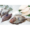 Fishs de fruits de mer surgelés John Dory