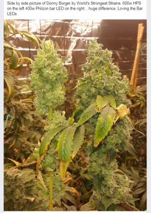 400W LED Grow Lights Flower Bar Lights