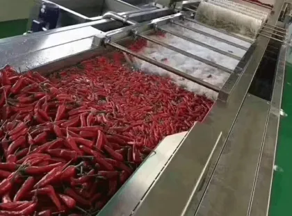 Fruit and Vegetable Cleaning Machine