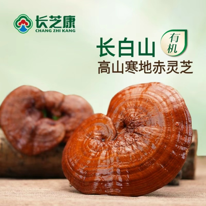 Црвена ганодерма од студени региони на висока надморска височина