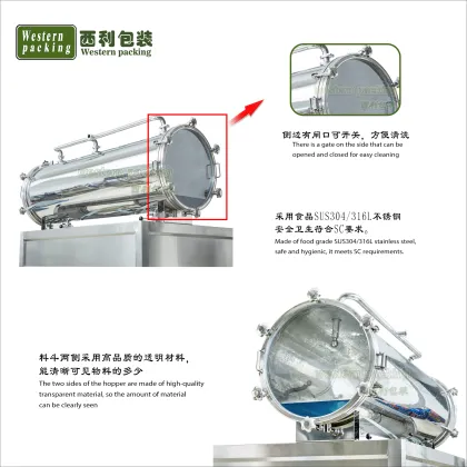 High Speed Inline Bottle Filling Machine for Sauces and Dressings with Servo Control