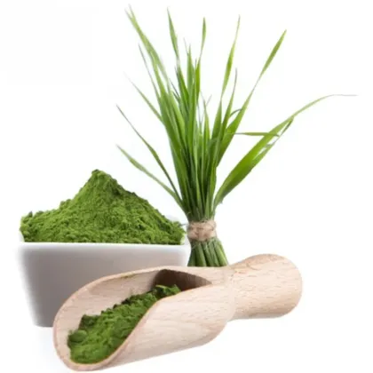 Organic Barley Grass Juice Powder 99%