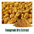 Natural Fenugreek Seed Extract Fenugreek Saponins