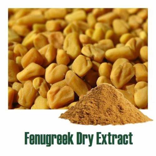 Natural Fenugreek Seed Extract Fenugreek Saponins