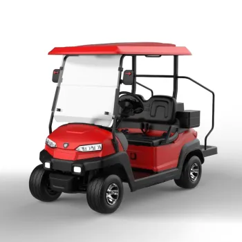 EEC Approved 4-6 Seater 48V Customized Electric Golf Car