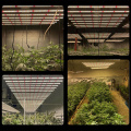 Green House Led 680W Plant Grow Light