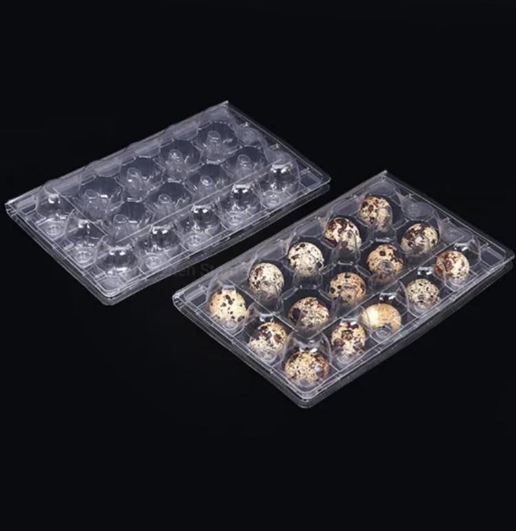 Disposable plastic quail egg tray with 10 holes