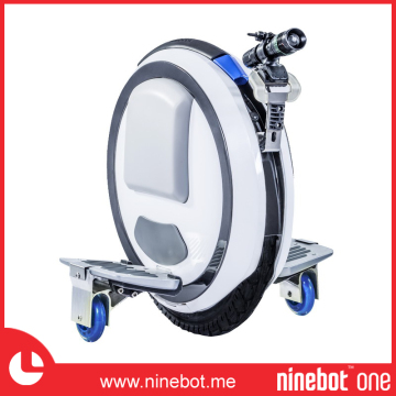 Electric Self Balancing Unicycle
