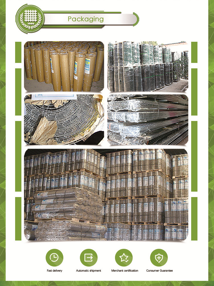4x4 PVC Coating Welded Wire Mesh