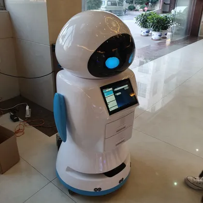 Interactive Intelligent Hotel Delivery Robot: Personal and Company Assistant
