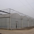 Rumah hijau polytunnel tumbuh sayur -sayuran