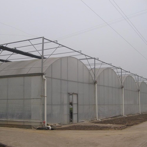 Polytunnel greenhouses growing vegetables