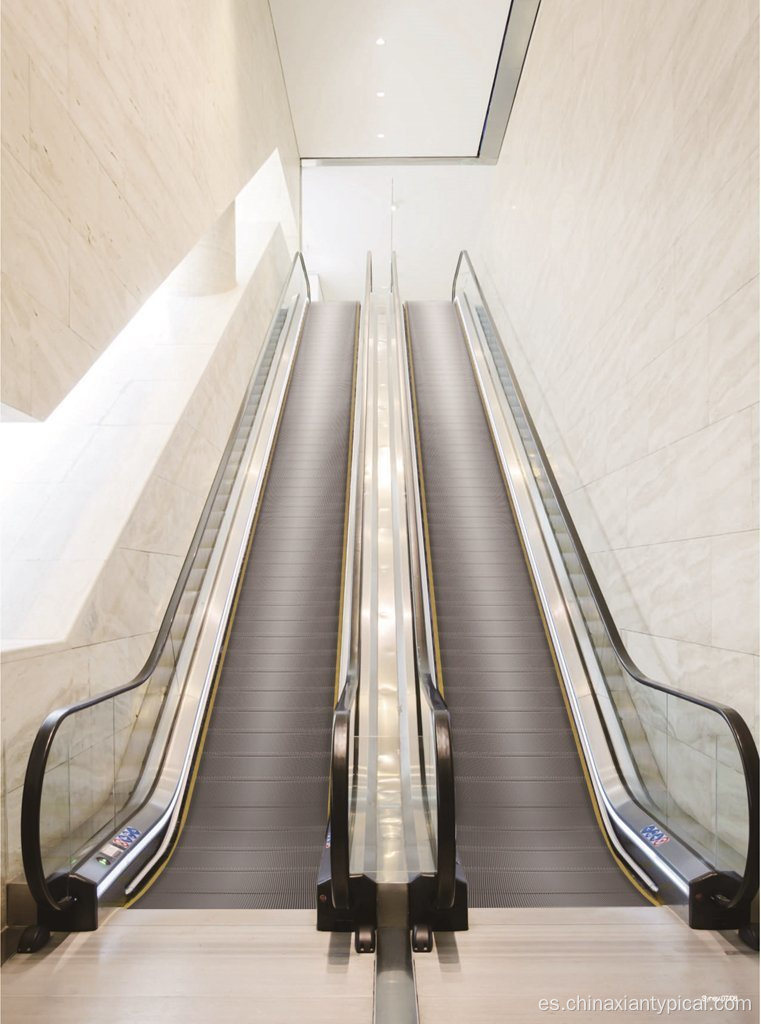 Horizontal en movimiento Paseo Flat Travelator