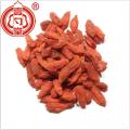 Dieetgedroogde rode bessen Ningxia Goji-bessen