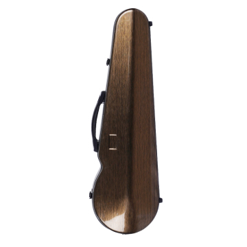 Practical and Affordable Composite Carbon Fiber Violin Cases: The Starter Model