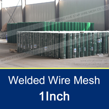 1.2M/1 Inch Pvc Coated Welded Wire Mesh From Large Supplier