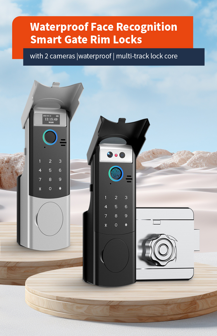 smart rim lock
