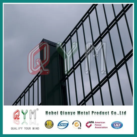 Decorative Double Loop Wire Fence/Double Roll Top Welded Fence