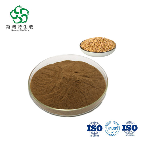 White Mustard Seed Extract Powder Pure Natural White Mustard Seed Extract Manufactory